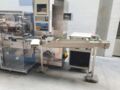 Uhlmann UPS 300 Blisteadora