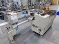 IWK, Harro Höfliger/HVS Cartonetta, TFS 10 Tuben-Füll- und Verpackungsanlage